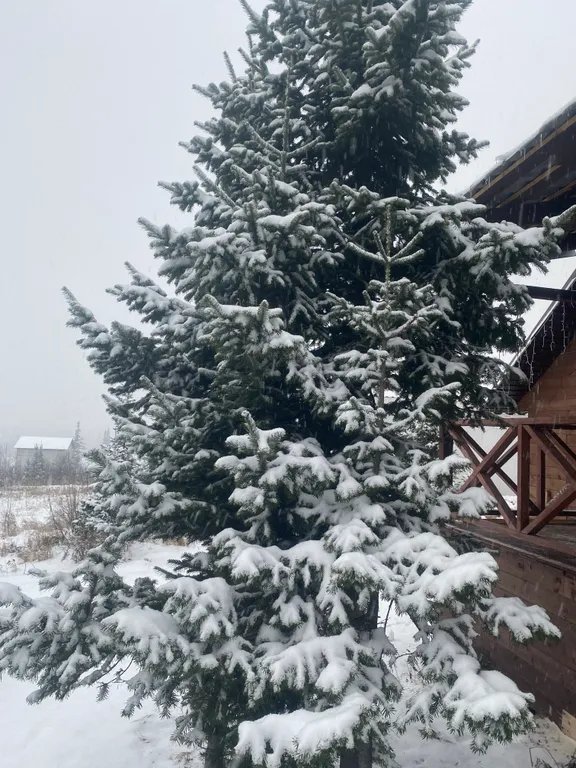 Новый современный дом