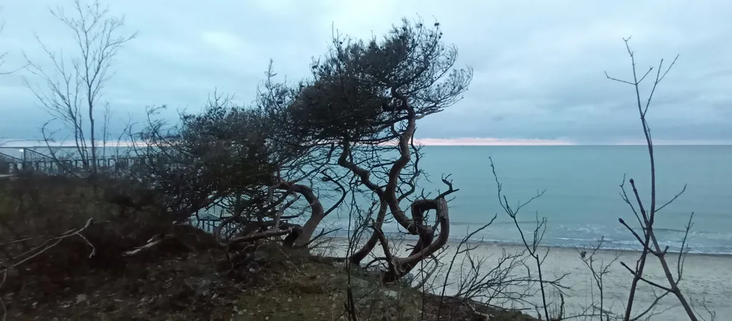 Просторная квартира на тихой улице