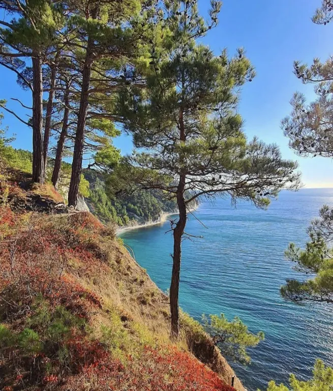 Коттедж Вилла на море — Прасковеевка