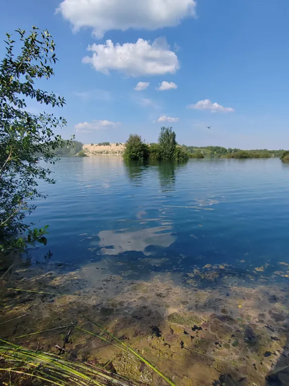 Коттедж с баней и горячей купелью