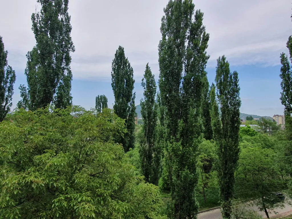 Апартаменты с видом на гору Машук