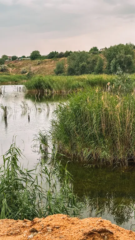 Охотничий домик у пруда