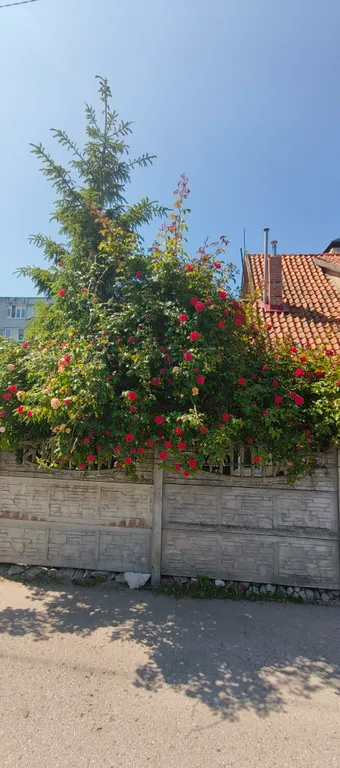 Квартира-студия в настоящем немецком доме