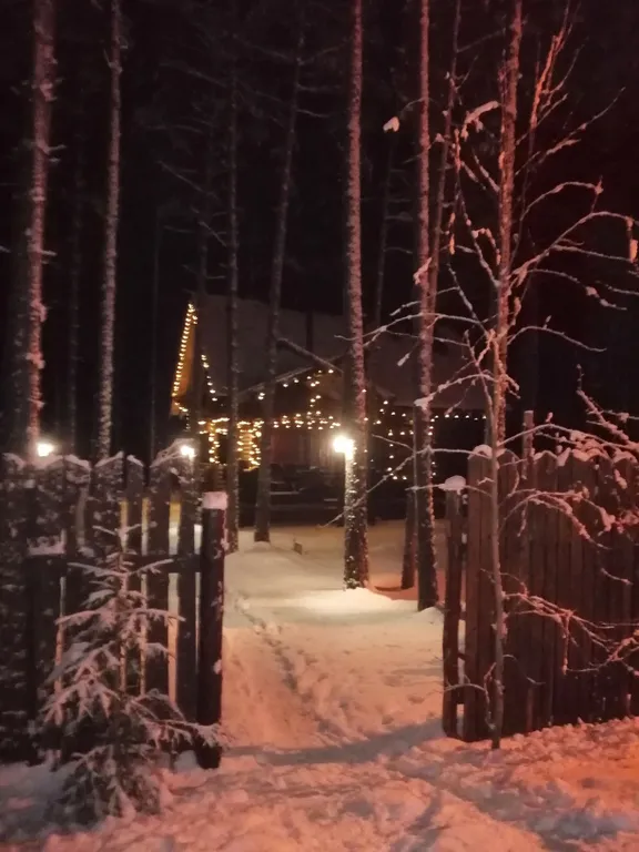 Дом Викинга