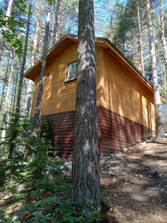 Коттедж Купольный дом в заповедном лесу — Архыз