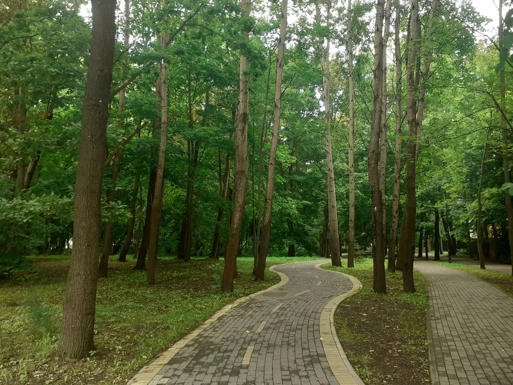 Квартира Уютная квартира на берегу Балтийского моря — Светлогорск