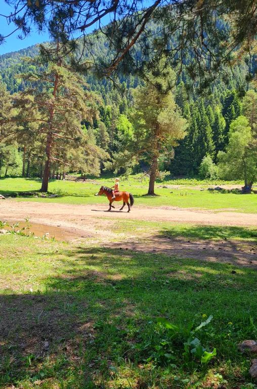 Экодомик с великолепным видом на горы