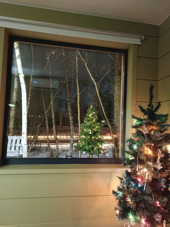 Коттедж Дом с русской баней — Санкт-Петербург