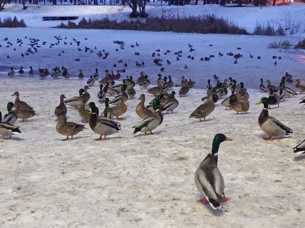 Уютная квартира в сердце города