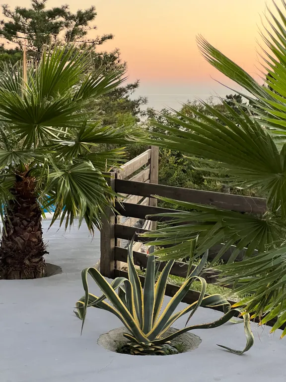 Gide villa посреди леса с видом на море