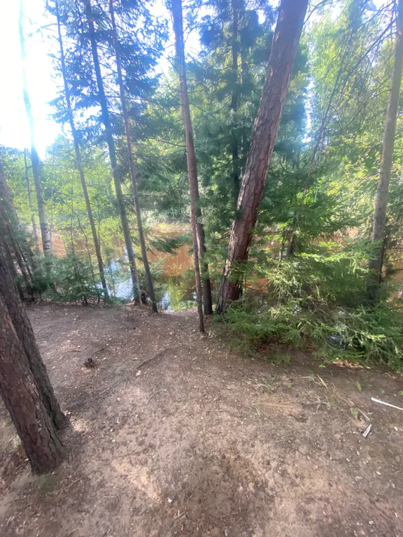 Уютный домик на берегу реки