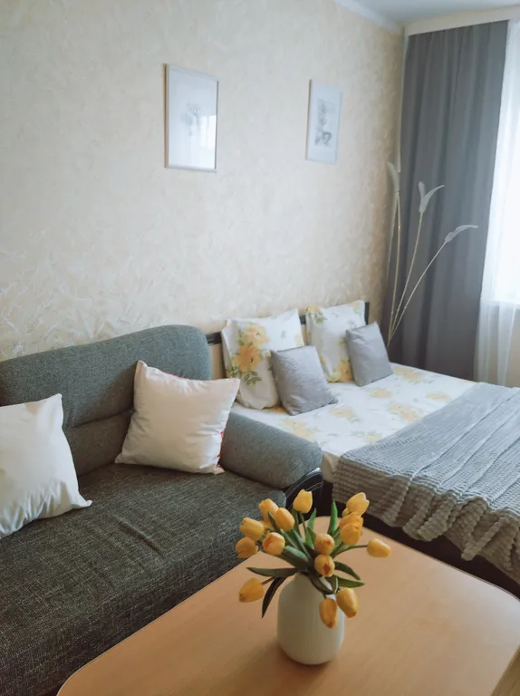 Уютная 3-комнатная квартира в 15 минутах ходьбы до центра — аренда посуточно в Гродно