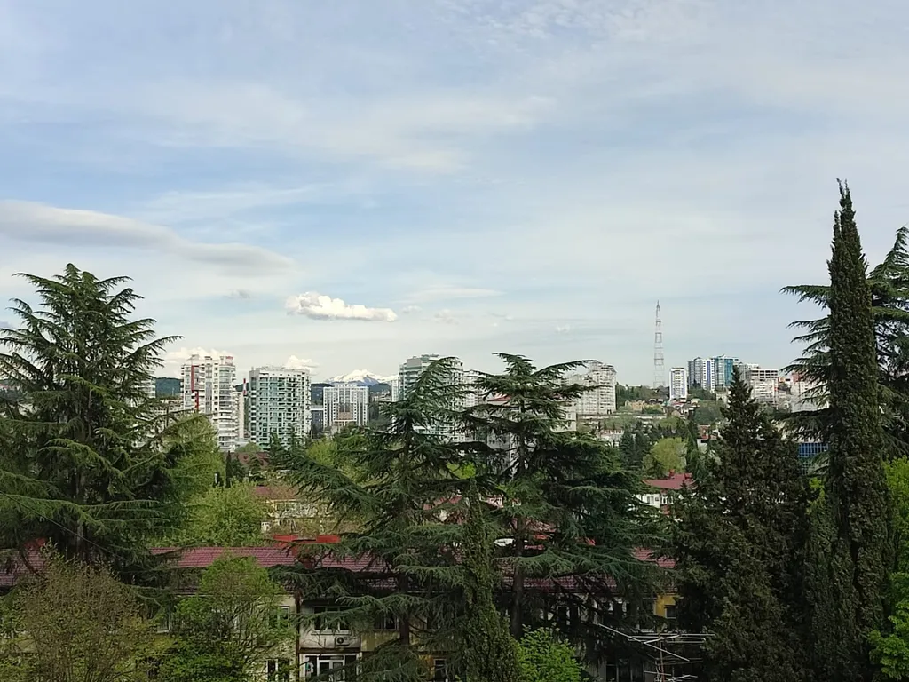 Уютная полуторка в самом центре Сочи, возле парка Ривьера