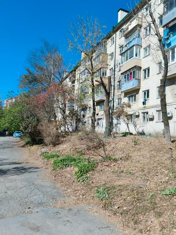 Уютная квартира на Зеленом углу