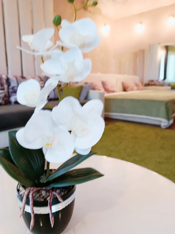 Уютная квартира в живописном районе