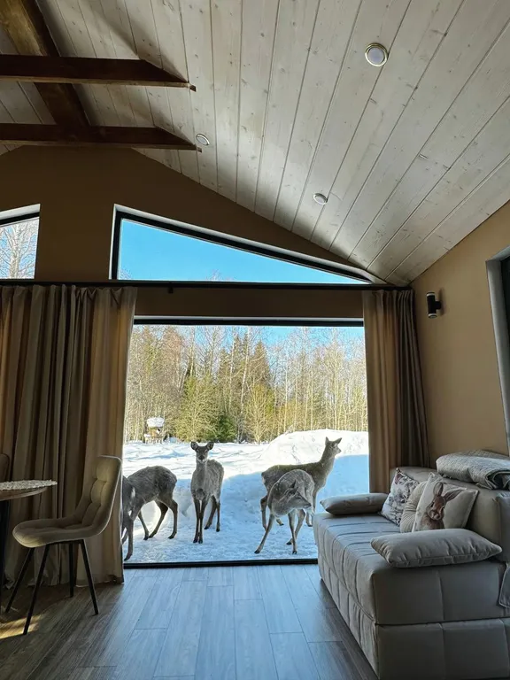 Домик в лесу с пятнистыми оленями и кроликами