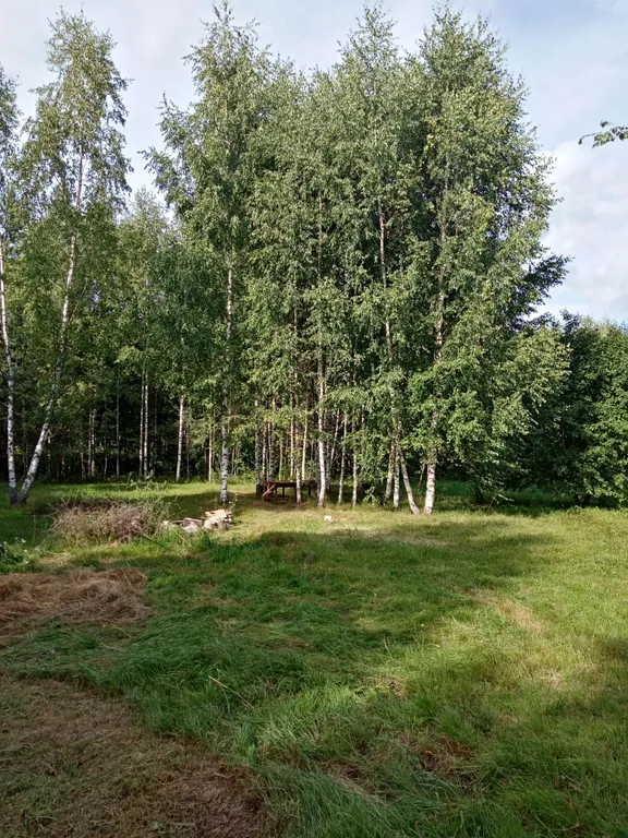 Эко дом Lavstep