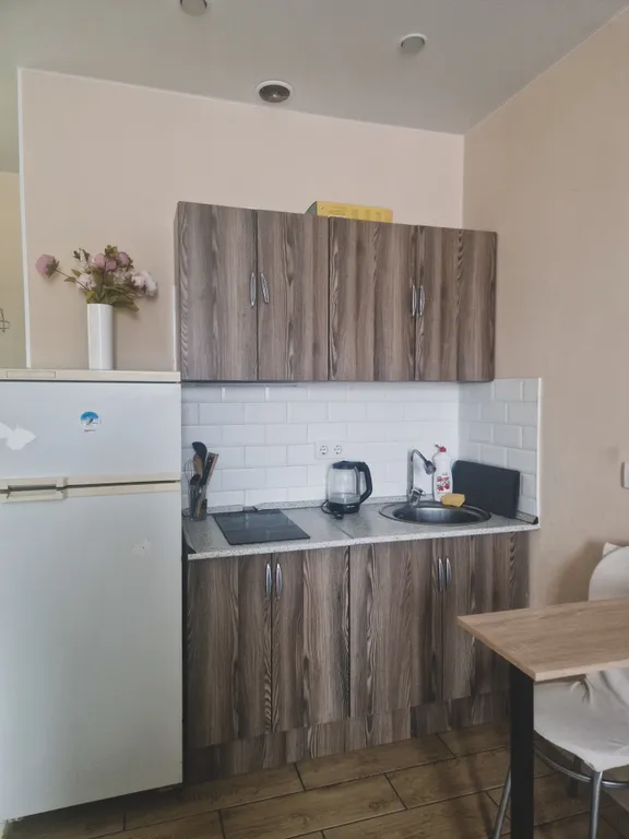 Уютная, светлая студия у станции