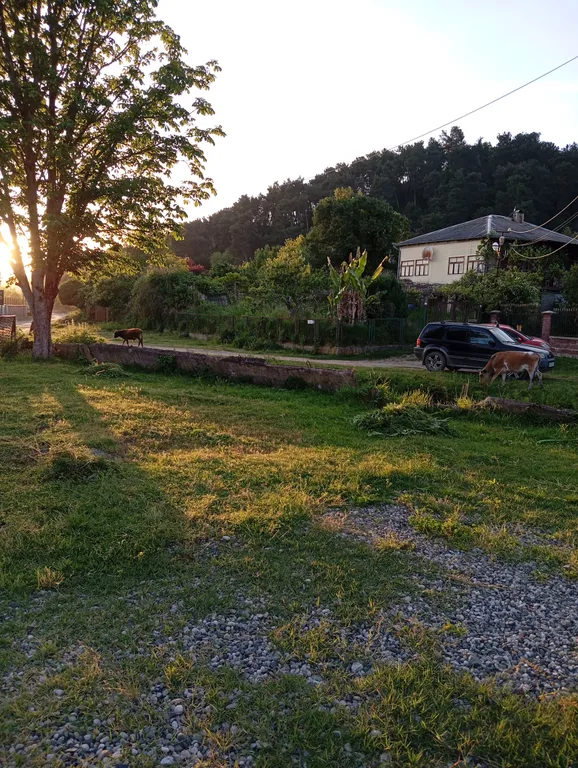 Квартира Уютные апартаменты — Рапица