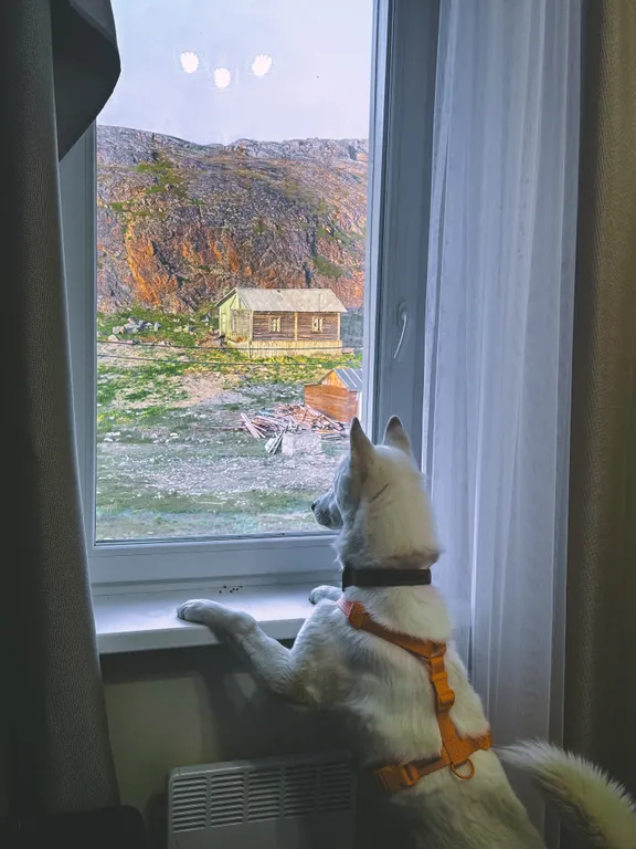 Уютная квартира в сканди стиле