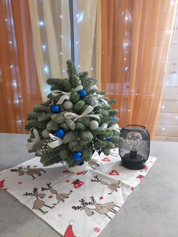 Коттедж Новый, тёплый дом у соснового леса — Борисово