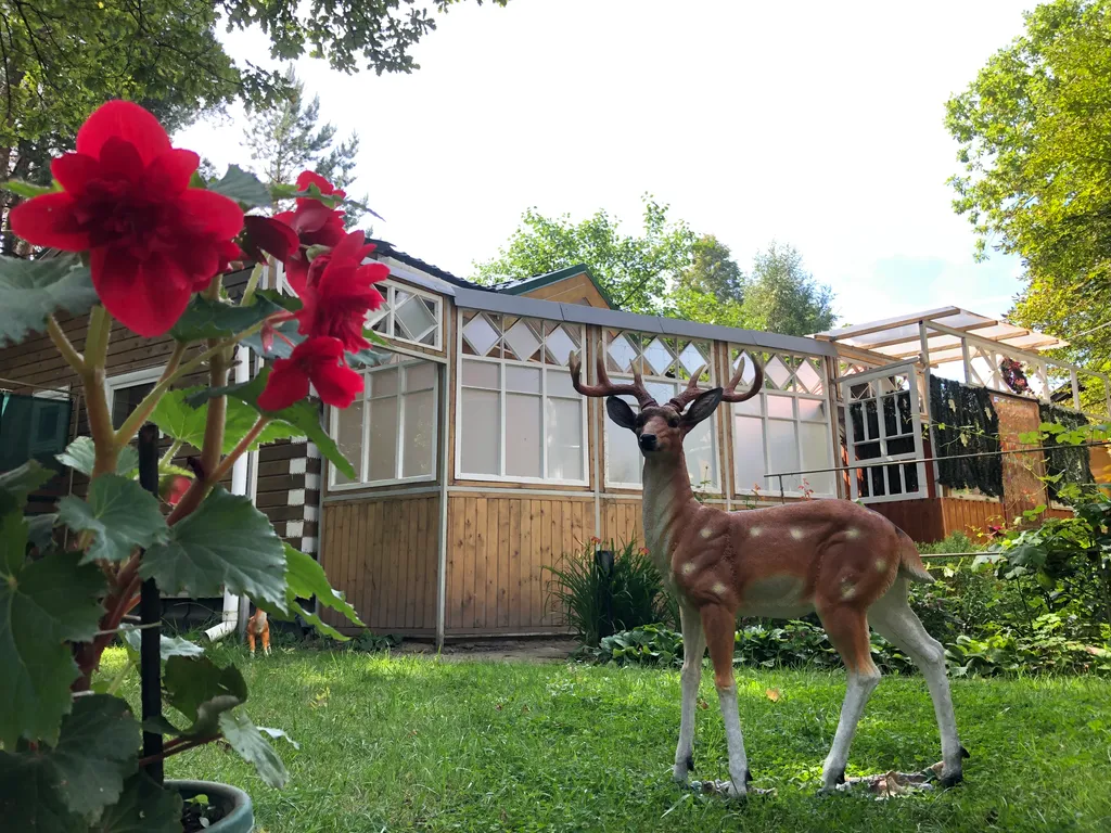 ТеремОК, дизайн сказки с финской сауной и мангал-олень