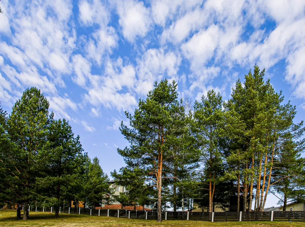 Уютная евродвушка в городе-курорте Доброград