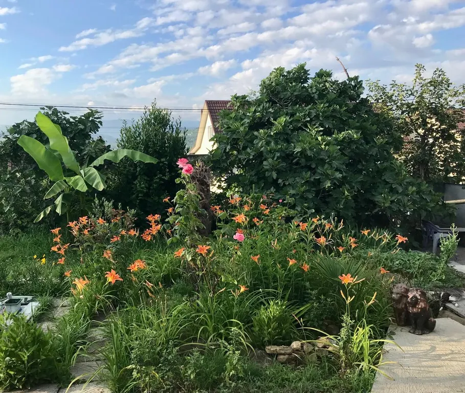 Коттедж Уютный, чистый дом с видом на горы — Сочи