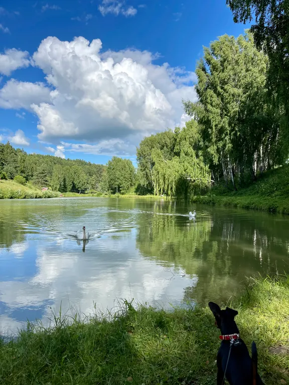 Дом у леса в Капитане