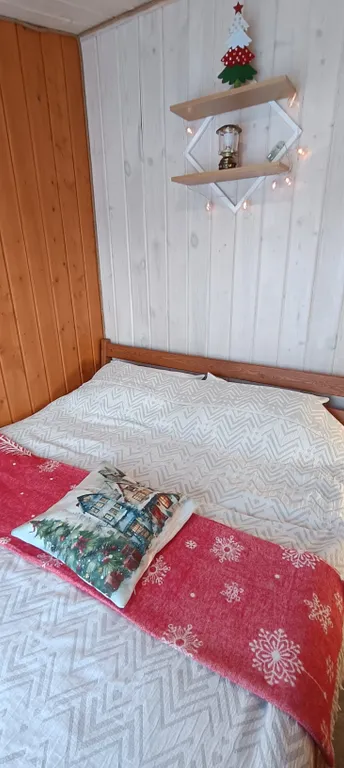 БарнОтдых с купелью, рядом лес и река