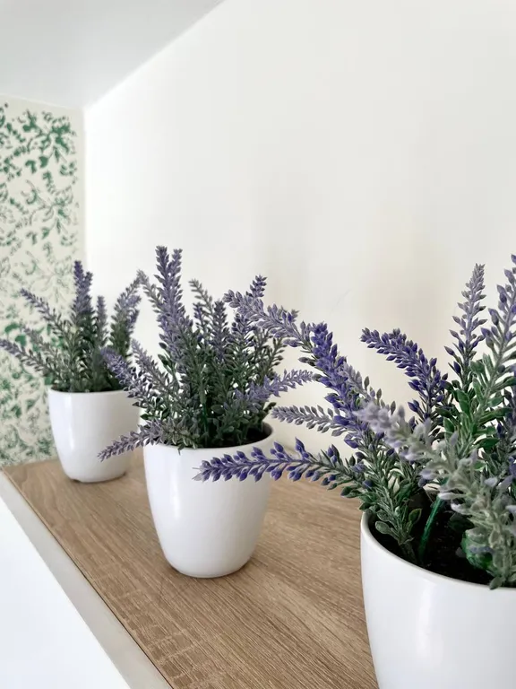 Апартаменты с видом на парк