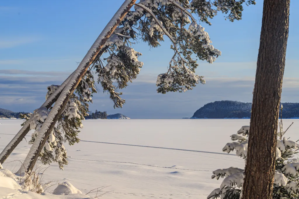 Дом Мята у Ладоги