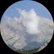 Амина