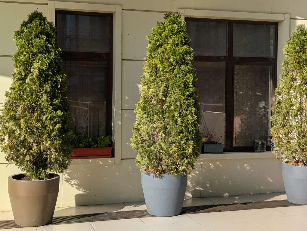 Квартира Квартира Cтудия на первой линии у моря со всеми удобствами — Адлер