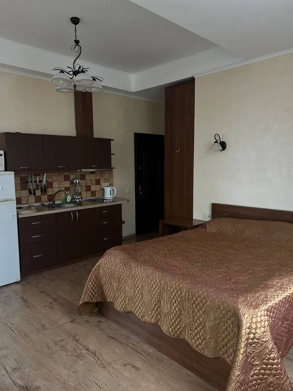 Студия с видом на горы