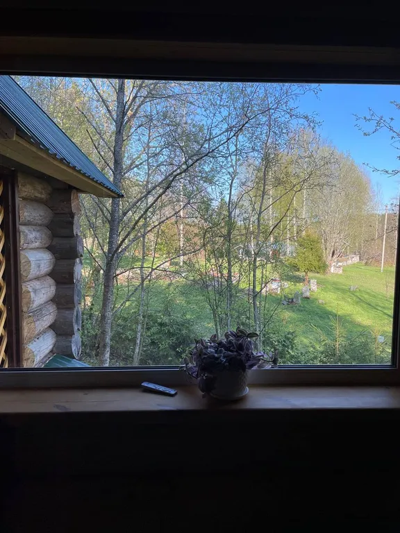 Дом в лесу среди сосен