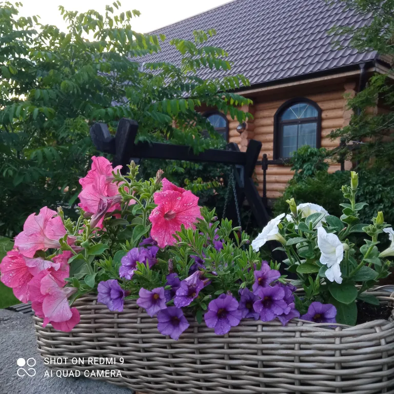 Дом на берегу реки чемал