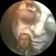 Леонид Журавлев