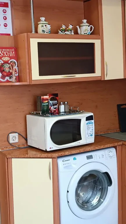 Квартира в центре у парка Гагарина