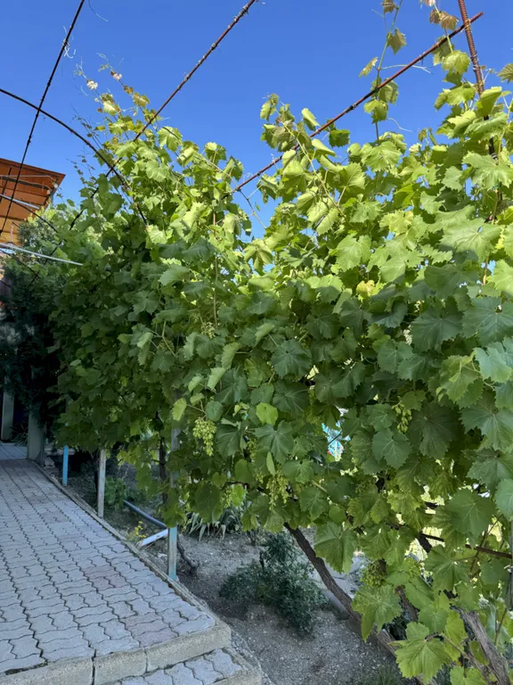 Коттедж Дом в Голубой бухте — Геленджик