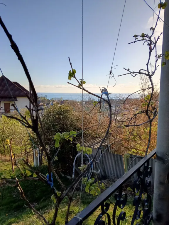 Уютная студия с удобствами