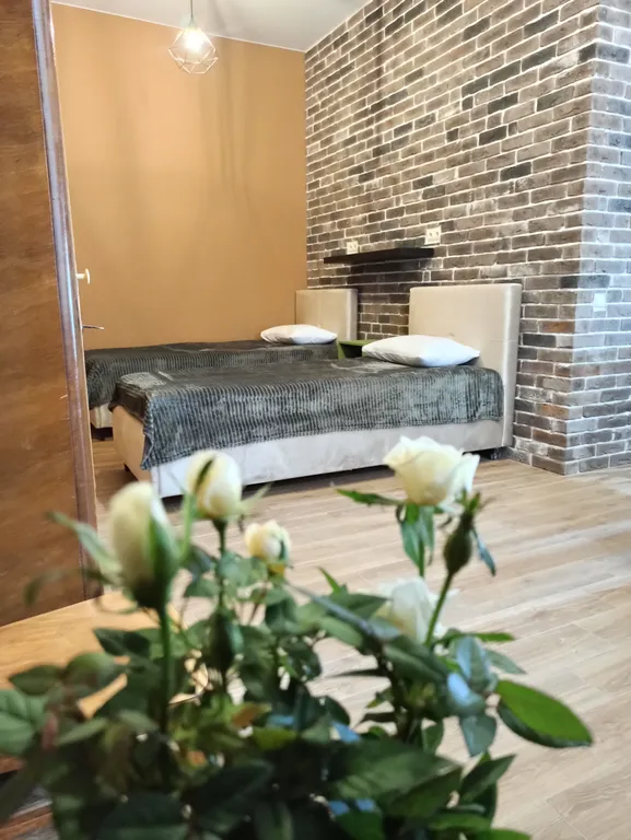 Уютные апартаменты в историческом центре