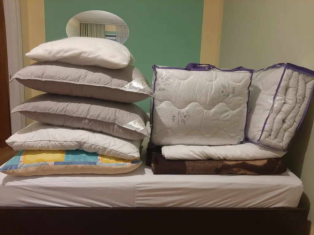 Квартира в центре города у Нижнего пруда - исторический центр