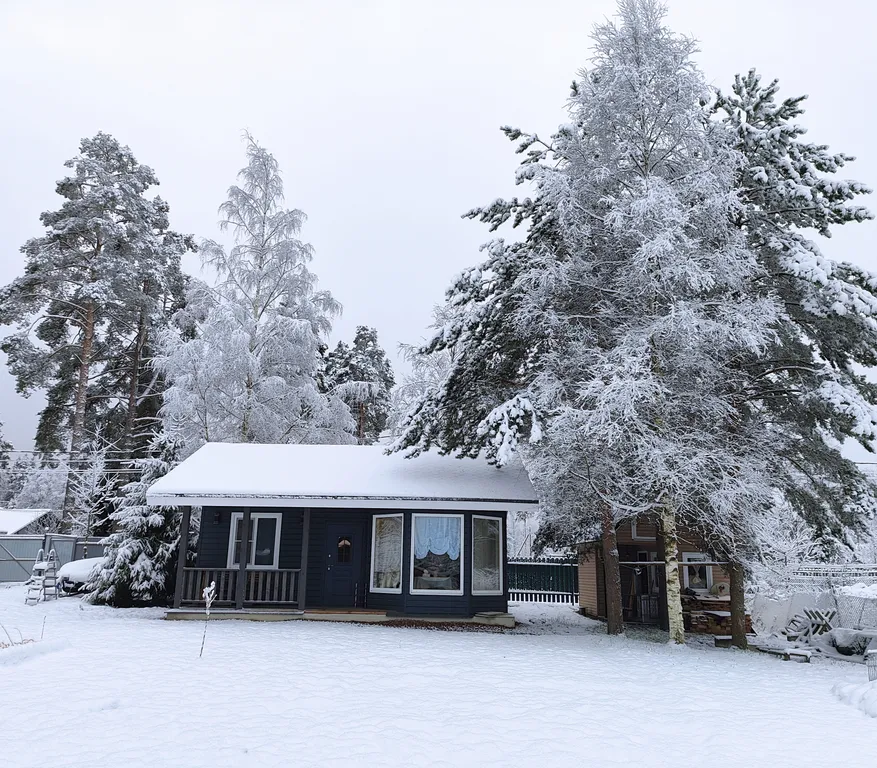 Хижина чудес