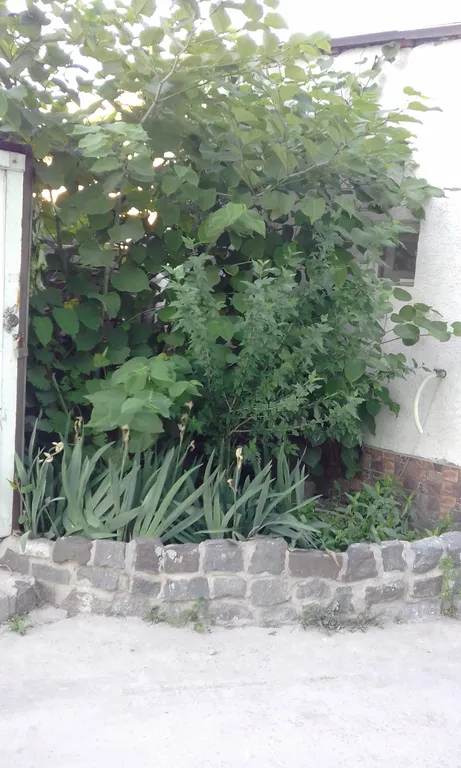 Уютная квартира в закрытом дворе