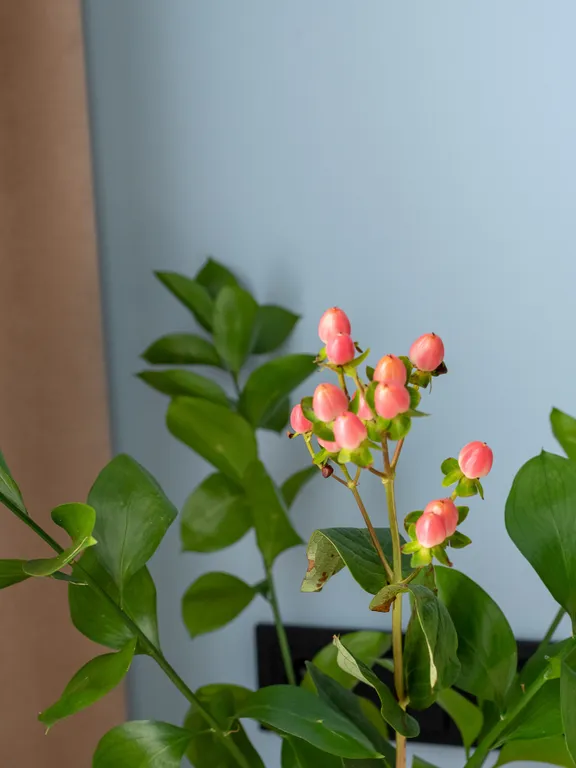 Стильная студия 3