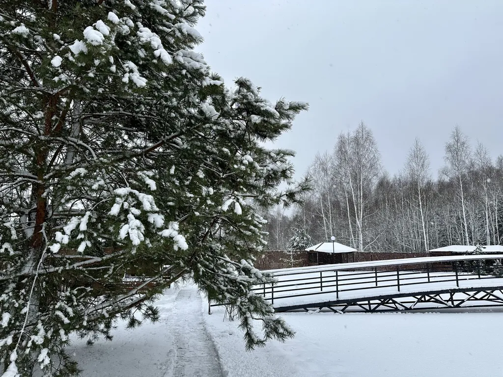 Коттедж для двоих в лесу у пруда