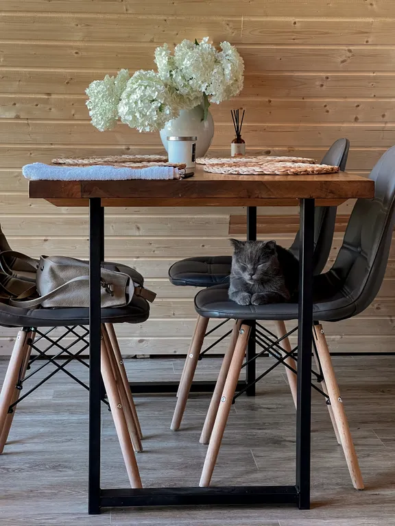 Дом A-frame у подножья горы