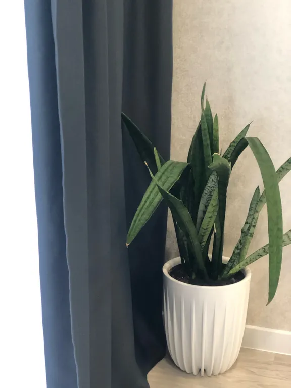 Студия возле ТЦ Изумрудный город