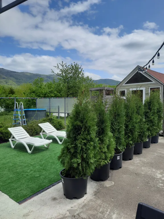 Милый домик в стиле прованс с камином, горячей купелью, баней, бассейном